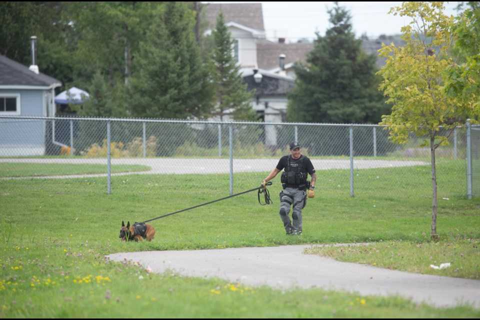 Firecrackers and Foul Play: Chaos Unfolds at Northern Ontario Campground