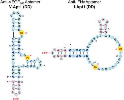 Revolutionizing Freshness: Aptamer’s Game-Changing Partnership with Unilever to Transform Deodorant Technology!