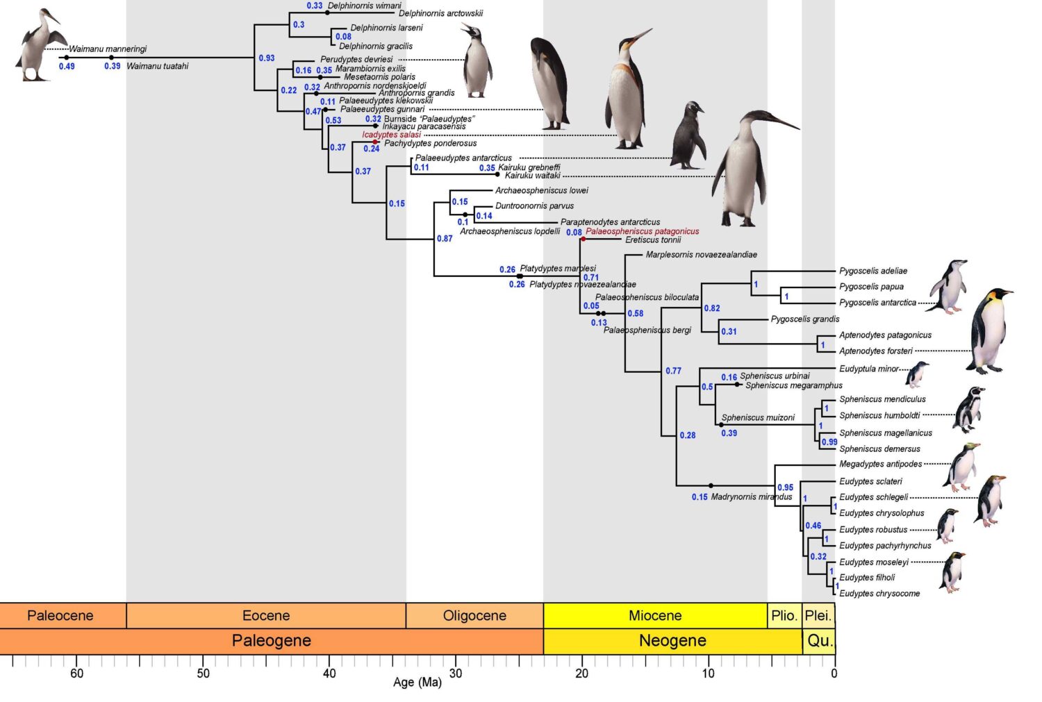 The Evolution of The Penguin: From DeVito to Farrell’s Legacy