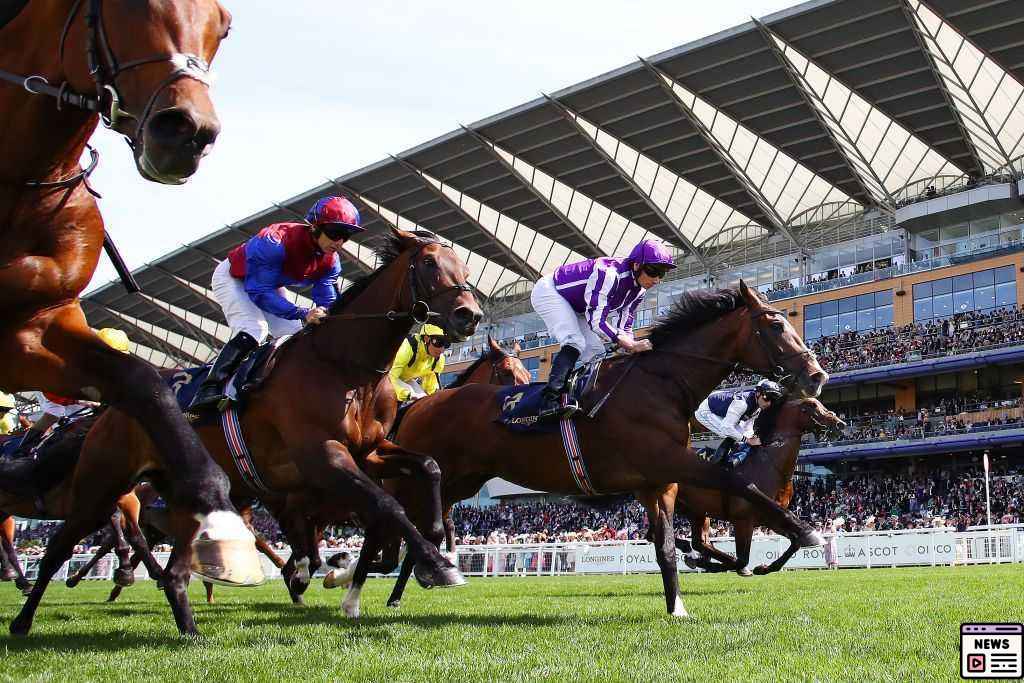 Aidan O’Brien’s Strong Bid with Trio at St. Leger