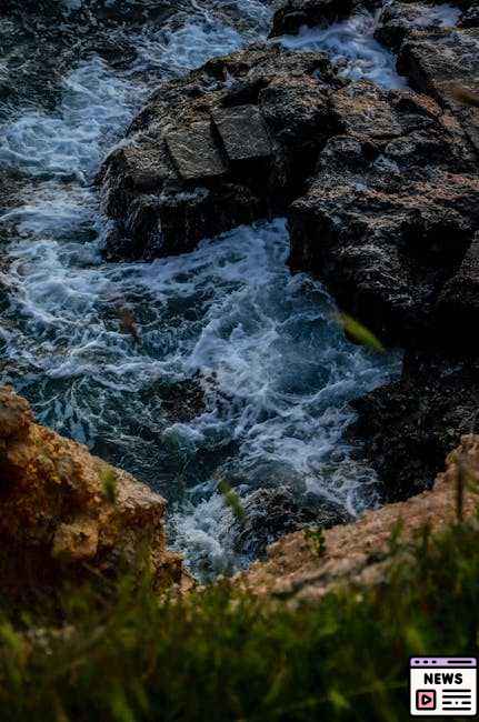 Harnessing Algae Power: Chile’s Electric Seaweed Revolution