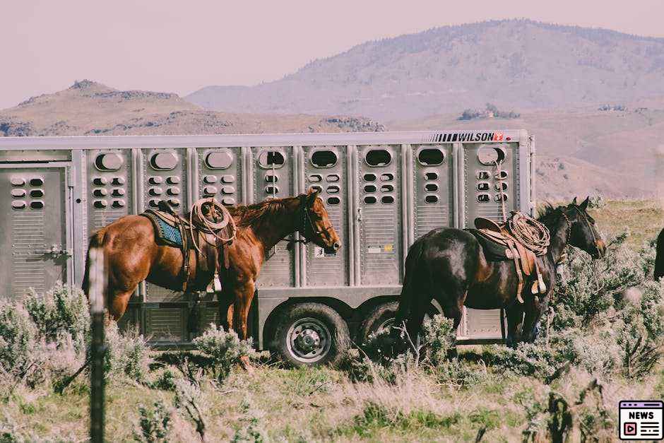 Cattle Truck Collision Disrupts Iconic Ghan Train Journey in Outback