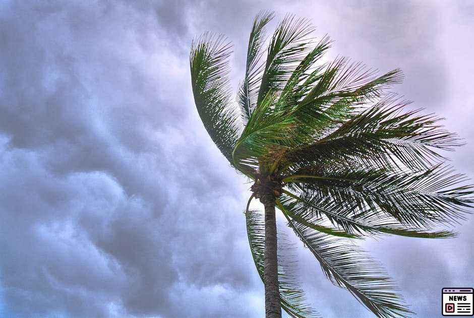 Tropical Storm Gordon Forecast to Stay Clear of Land Amid New Developments