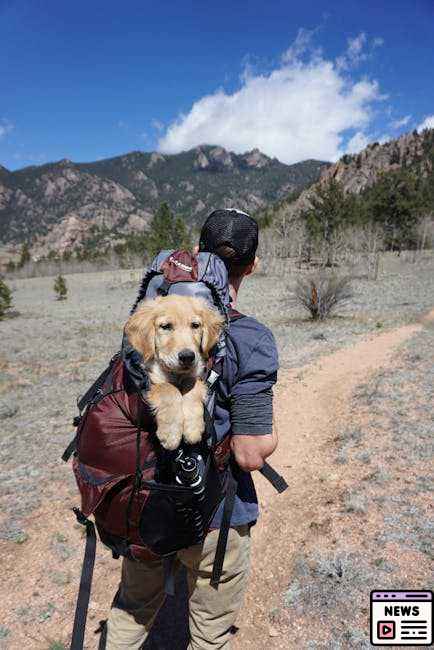 Tragic Discovery of Missing Yosemite Backpacker Found Dead