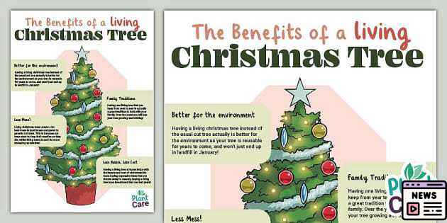 Navigate Christmas Benefit Changes and Secure Your Support