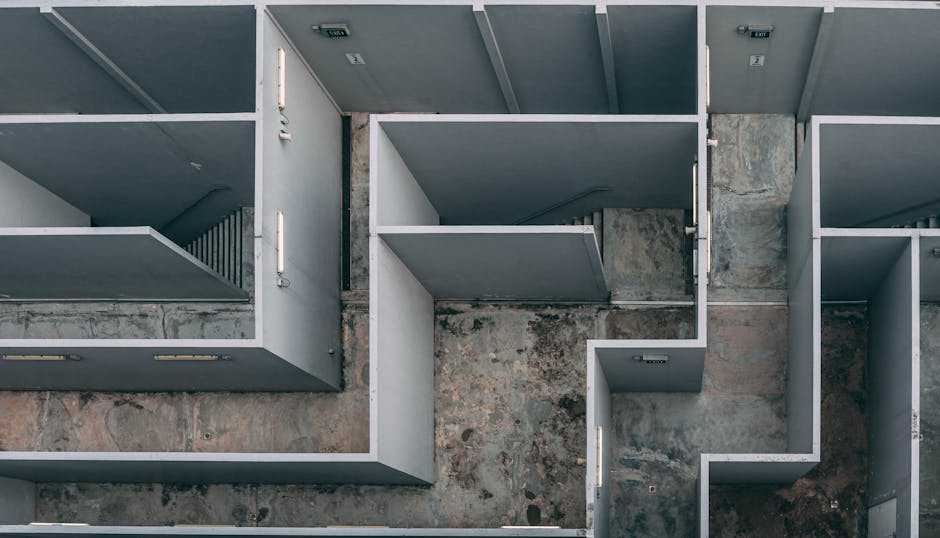 Transforming Spaces: Highlights from the International Landscape Meeting 2024
