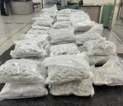 Footballer and Smuggler Arrested in Major Airport Drug Seizure