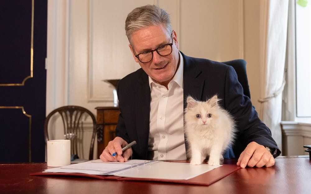 Keir Starmer Introduces Downing Street’s Adorable New Kitten Prince