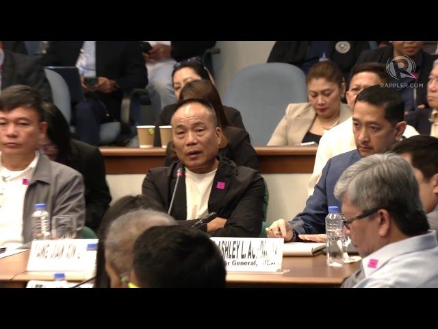 Senate Hearing Unveils Insights on Alice Guo and POGOs