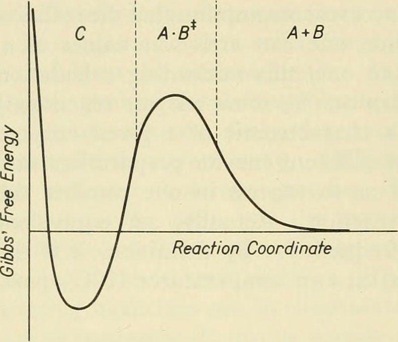 Predicted Major Product of Chemical Reactions Explained