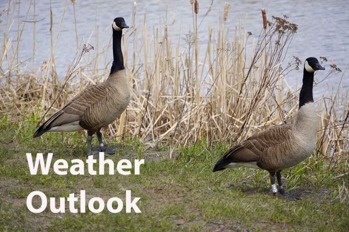 Sunny Vibes and Weekend Showers Ahead in Sudbury!