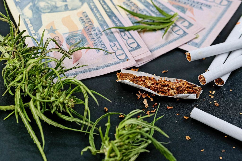 How Much Money Does a Dispensary Make in 2024? Insights Revealed