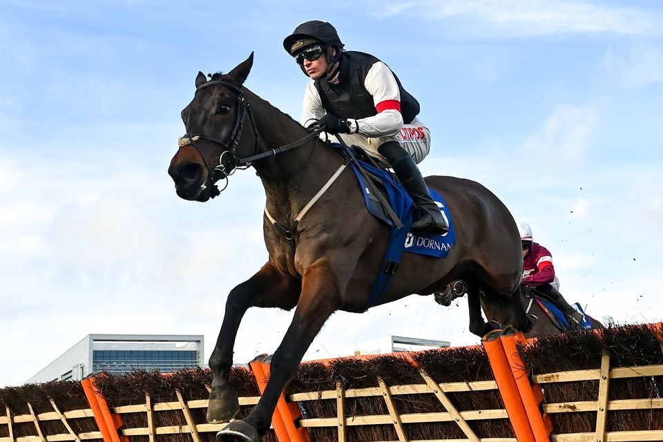 Listowel Races Spotlight: Triumphs and Trials During Festival