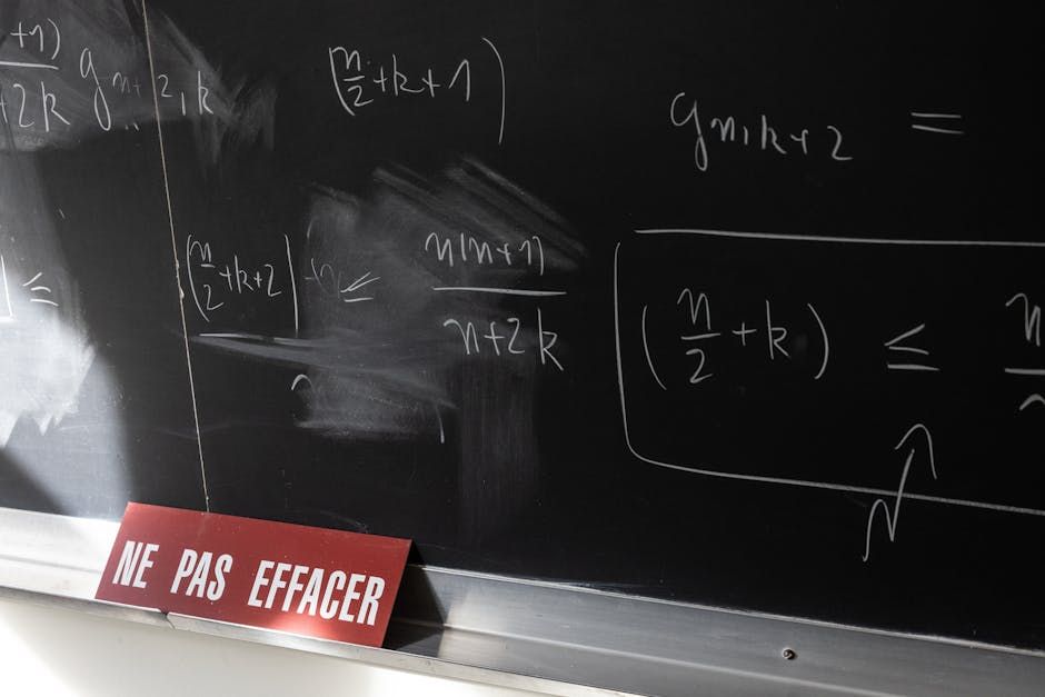 How Much Money Does a Teacher Make Daily in 2024?