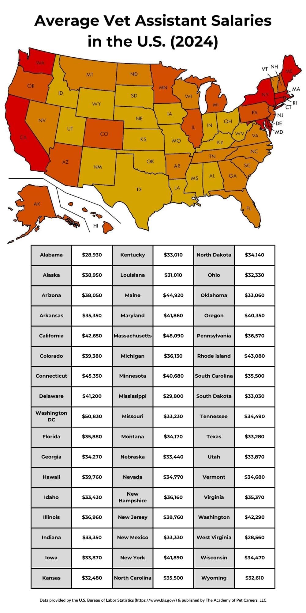 What Is the Salary of a Vet Assistant in 2024?