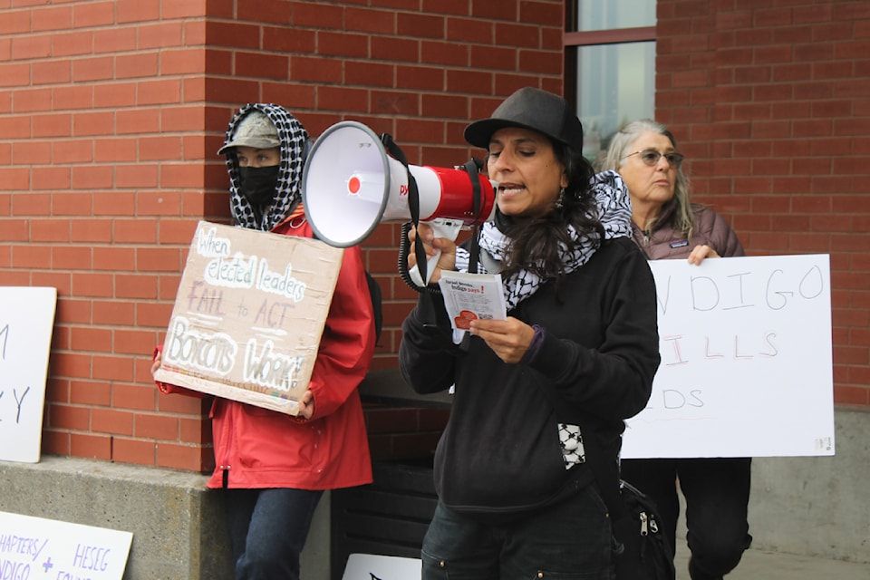 Pro-Palestinian Protests Disrupt Stores Across Canadian Cities