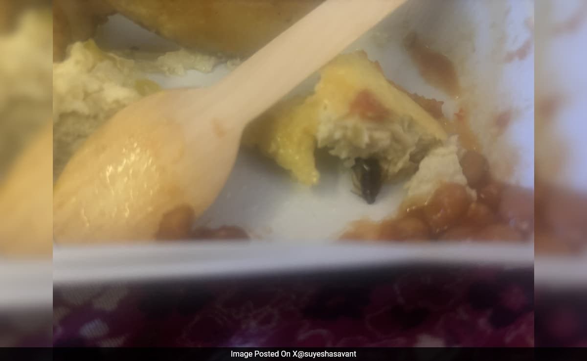 Air India Apologizes After Cockroach Found in Passenger Meal