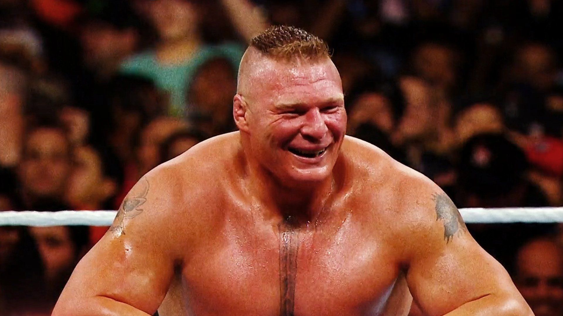 Brock Lesnar Net Worth 2024 Insights into His Wealth and Success