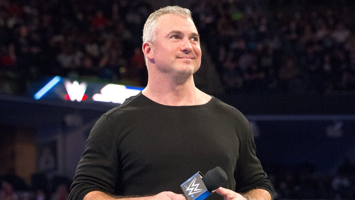 Shane McMahon and Jim Ross Net Worth Insights for 2024