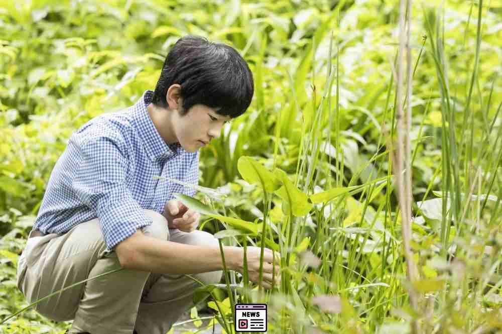 Celebrating a Royal Milestone: Japan’s Prince Hisahito Turns 18!