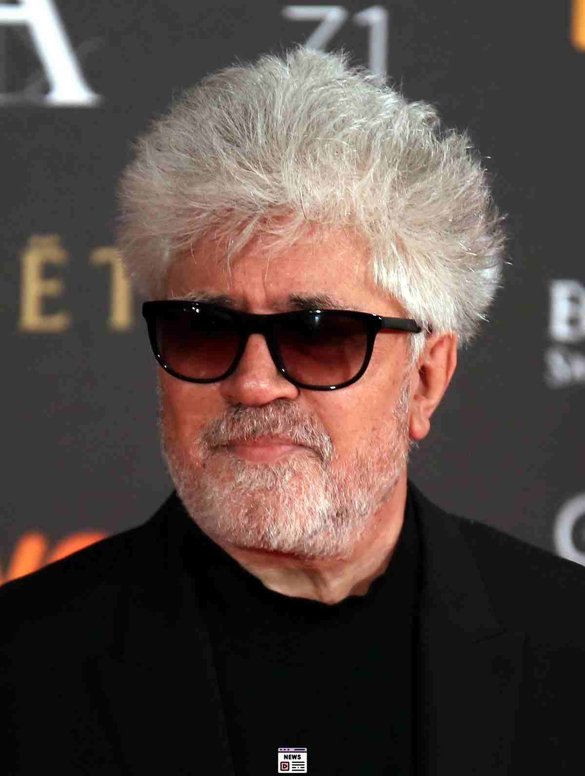 Glitz and Glory: Almodóvar’s Victory at Venice 2024!