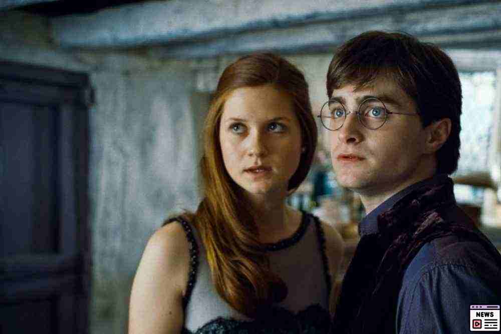 Celebrating Family and Legacy: Harry Potter Stars Reflect