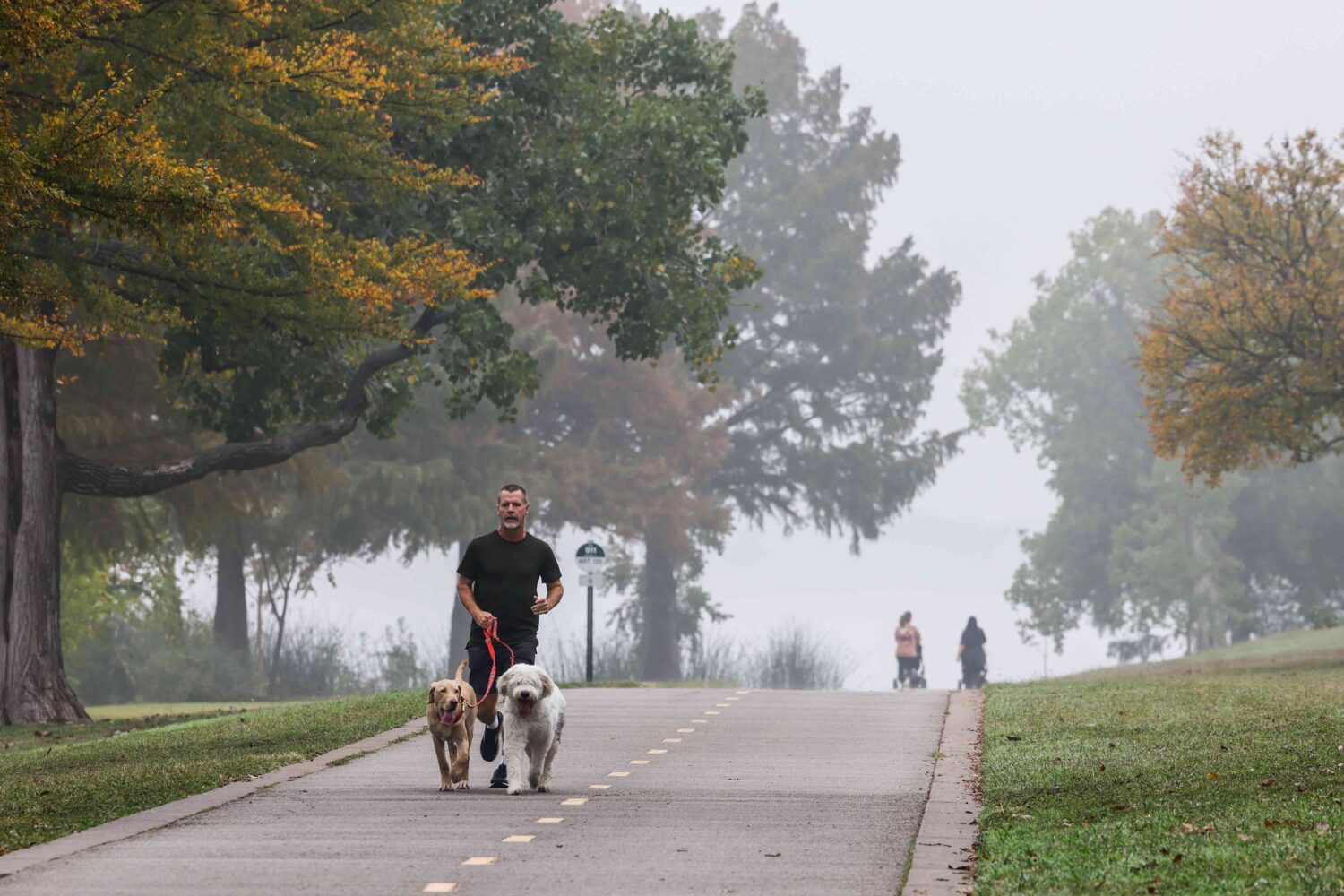 Embrace the Change: Cool, Wet Weather and Thunderstorm Alerts Ahead