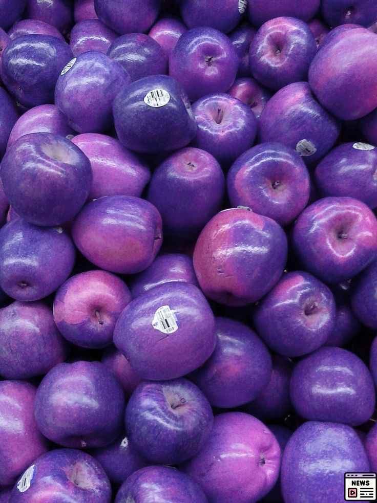 Purple Apple