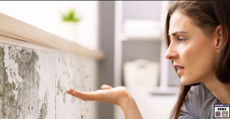 warning signs of mold