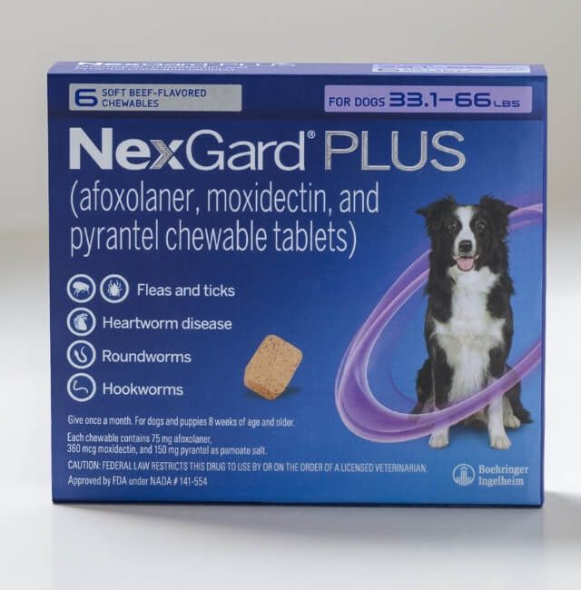 NexGard Plus vs Simparica Trio Protecting Your Pet