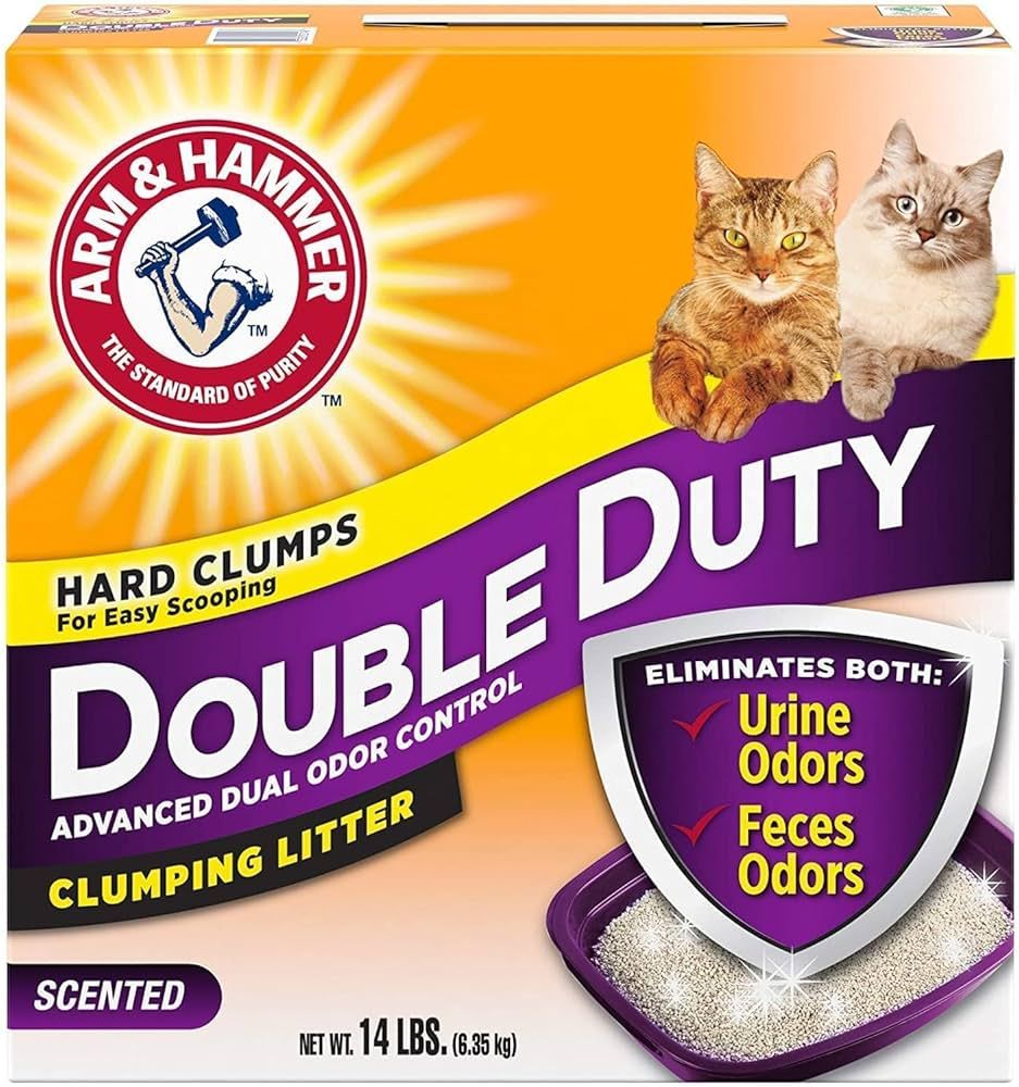 Clumping vs Non-Clumping Litter What’s Best for Your Cat