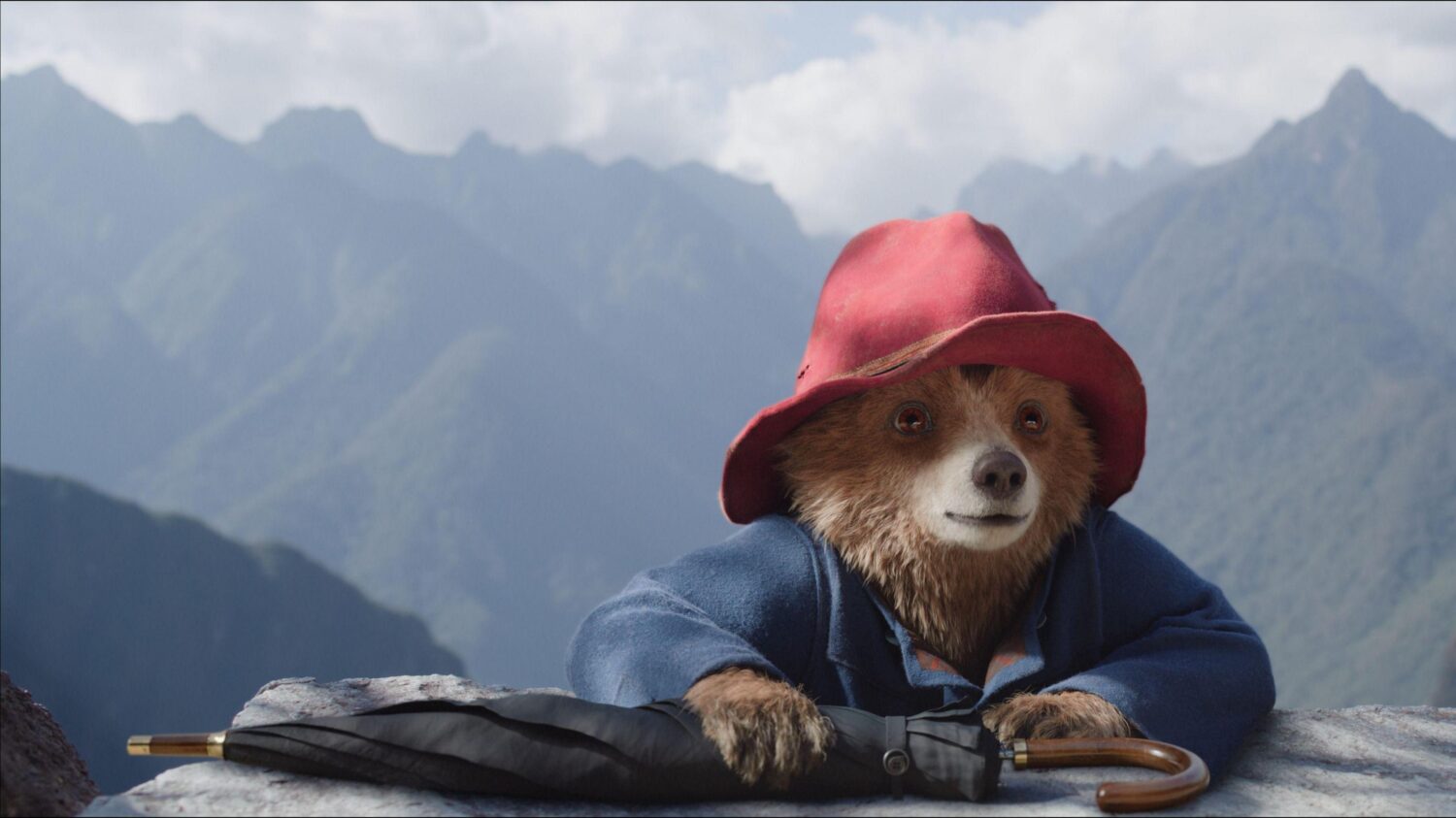 Discover the Adorable New Paddington Trailer and Baby Bear Images