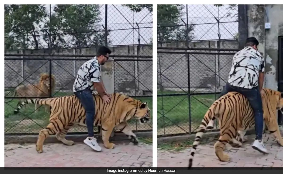 Outrage Erupts as Pakistani Influencer Rides Chained Tiger