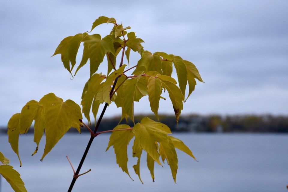 Good Morning Midland and Timmins Your Daily Weather Update!