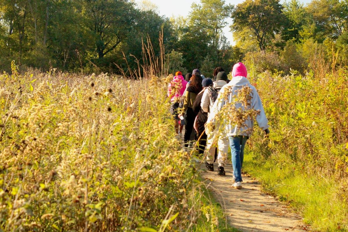 Cooler Days Ahead in Chicago as Sweater Weather Finally Arrives