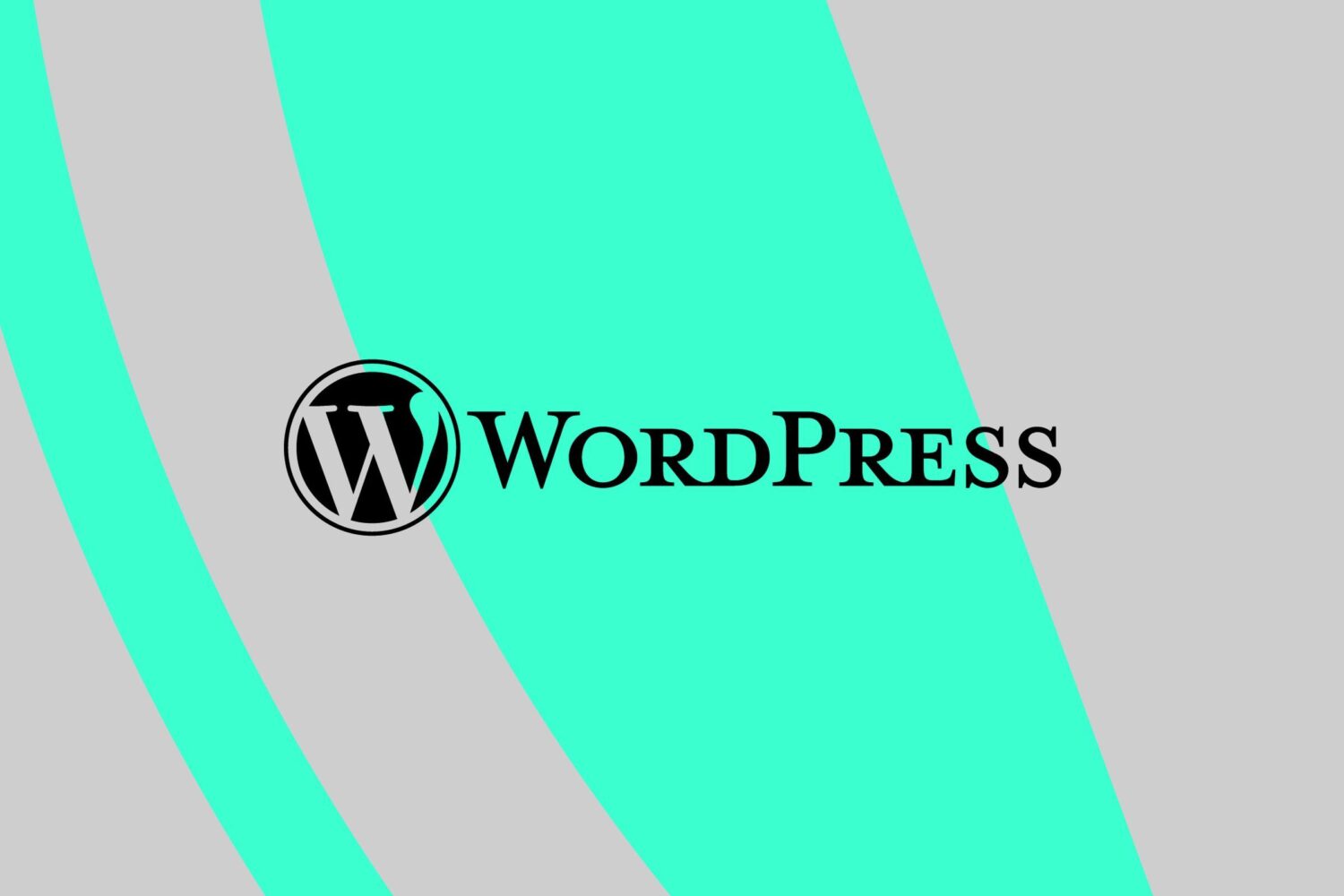 WordPress Gains Ground with ACF Plugin Control After CEO’s Bold Worker Buyout