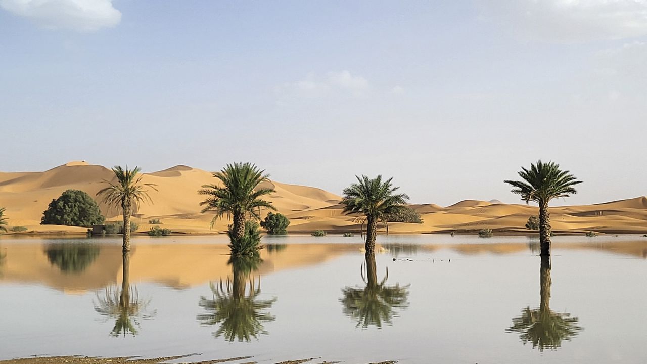 Sahara Desert Transformed by Unprecedented Flooding