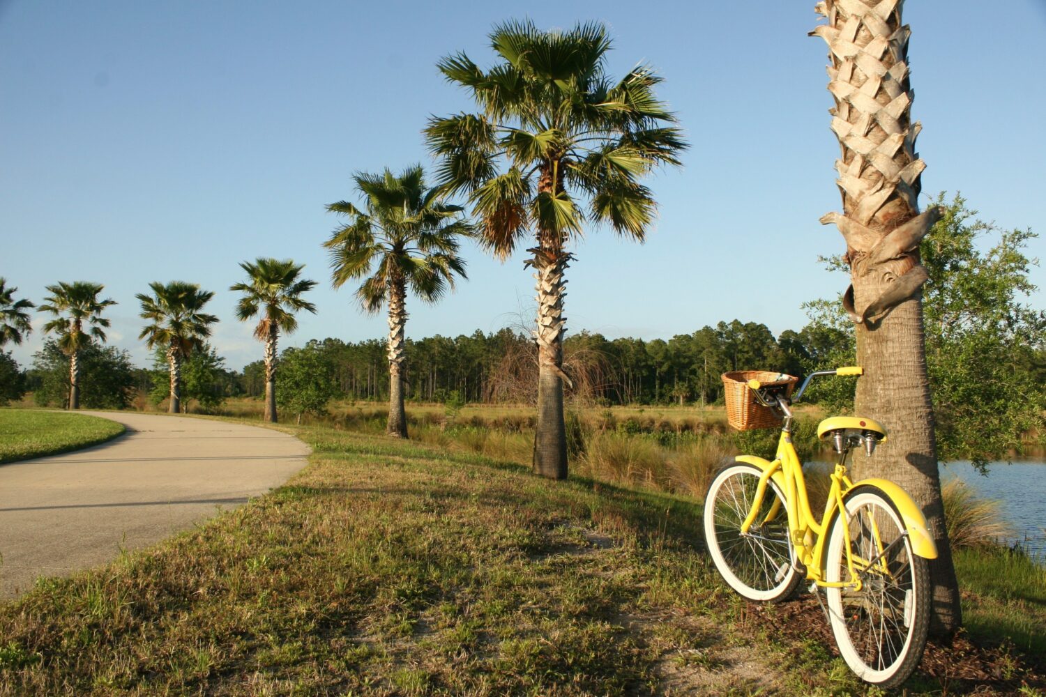 Storm Recovery Efforts in Palm Coast Begin October 16