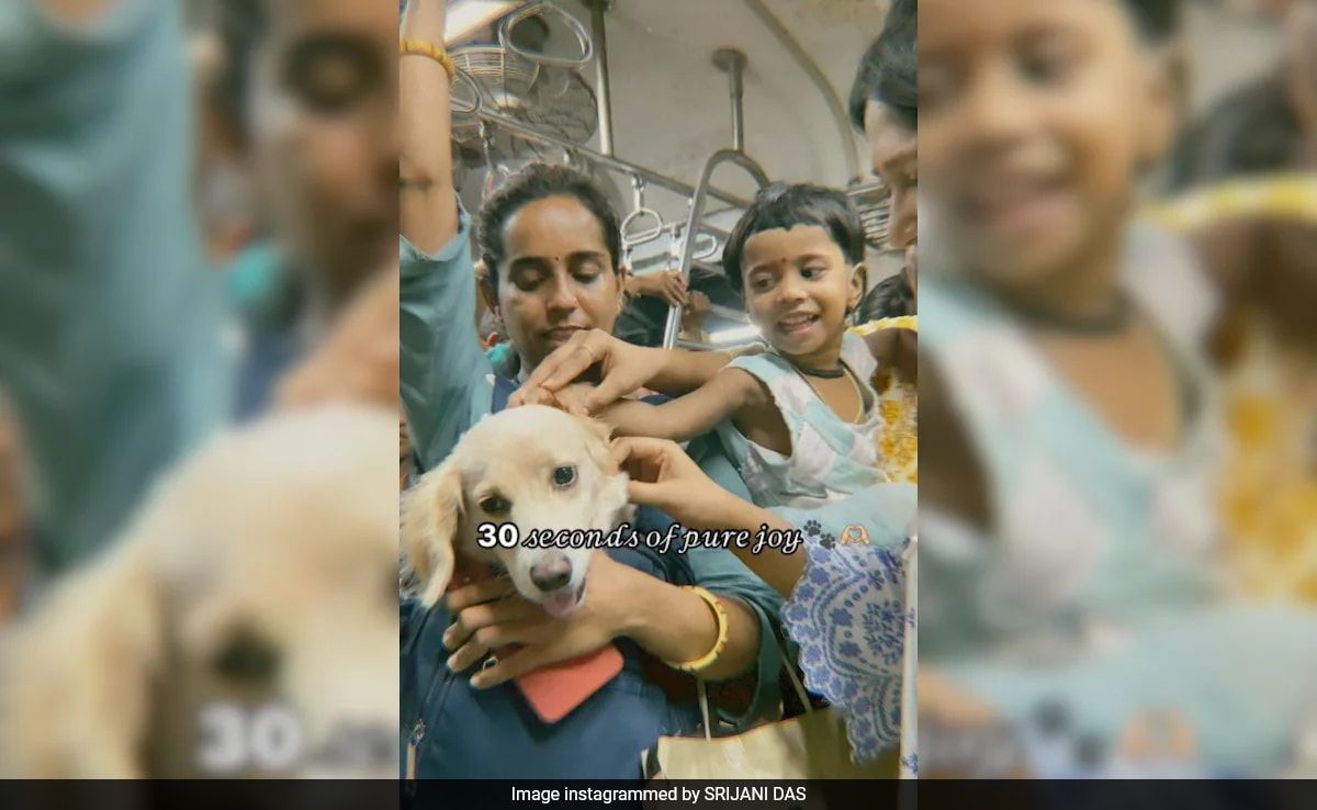 Mumbai Local Delight: Dog Joins the Journey