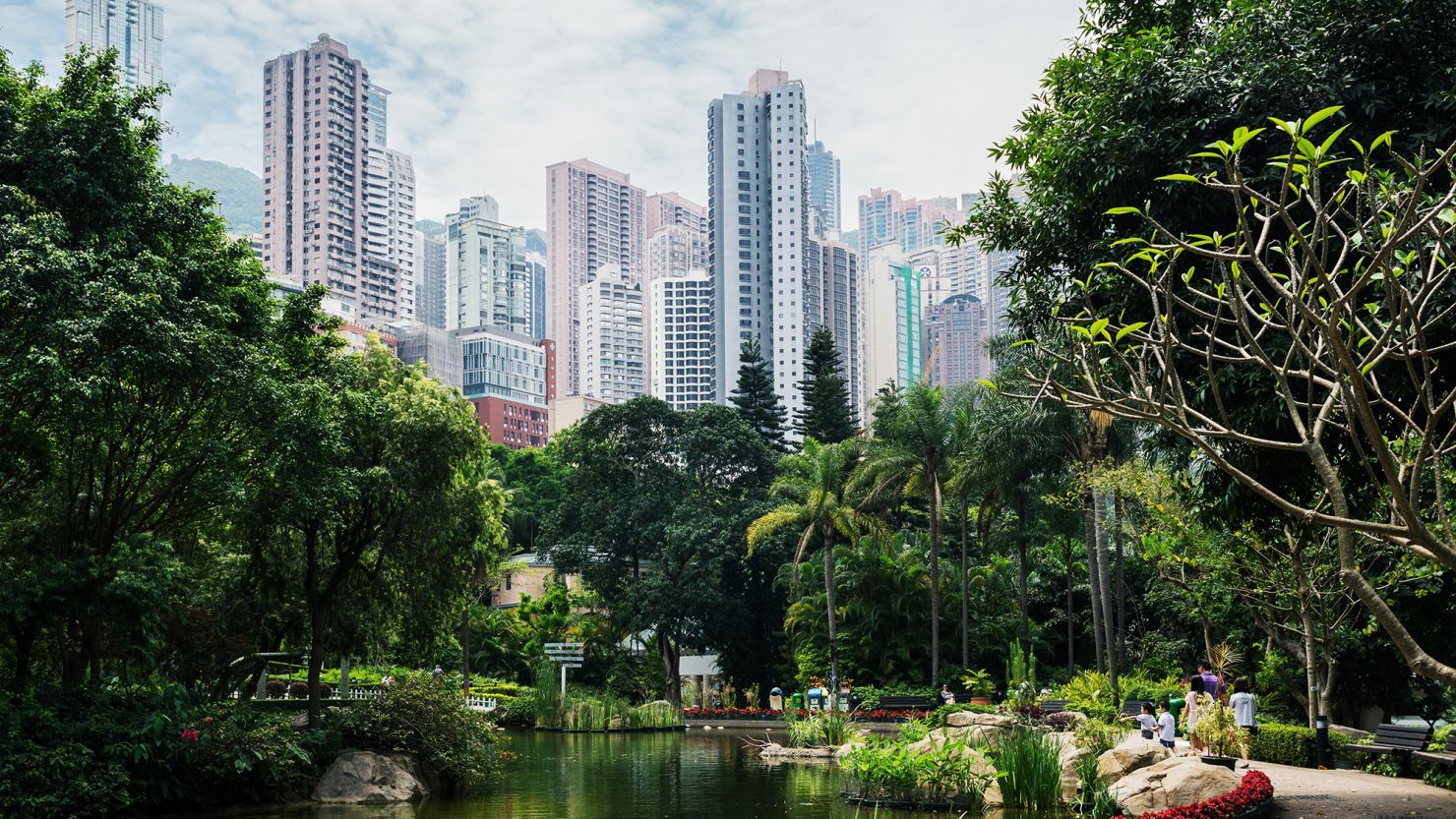 Mystery of Monkey Deaths Deepens at Hong Kong Zoo