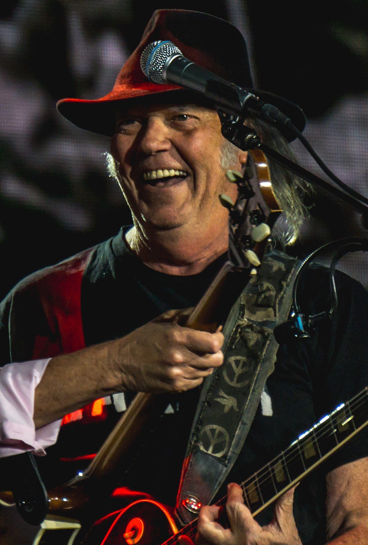 Neil Young Net Worth