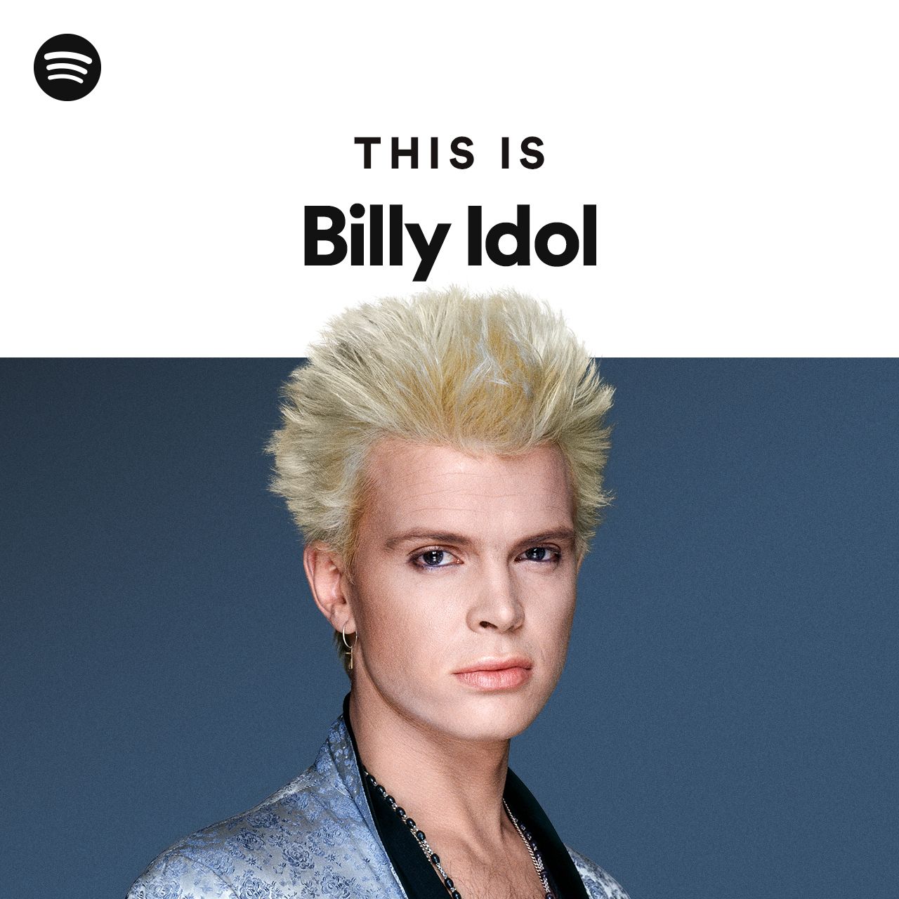 Billy Idol Net Worth