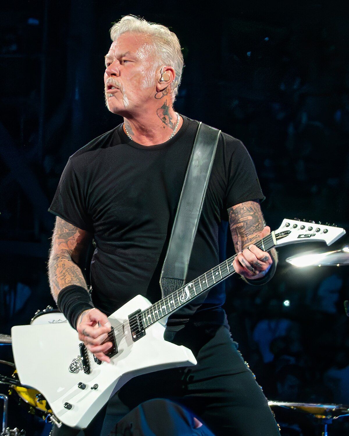 James Hetfield Net Worth