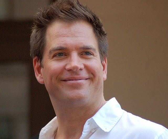 Michael Weatherly Net Worth