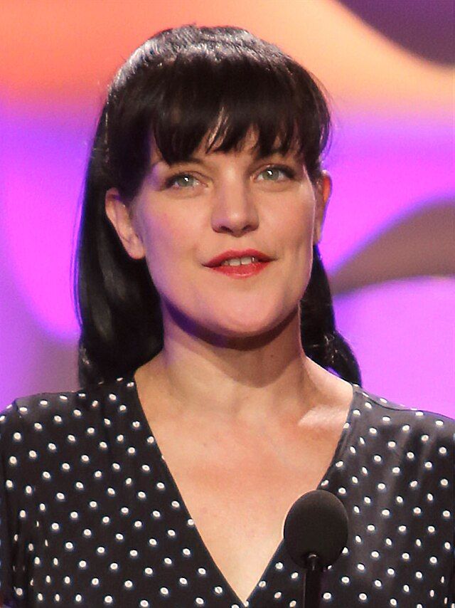 Pauley Perrette Net Worth