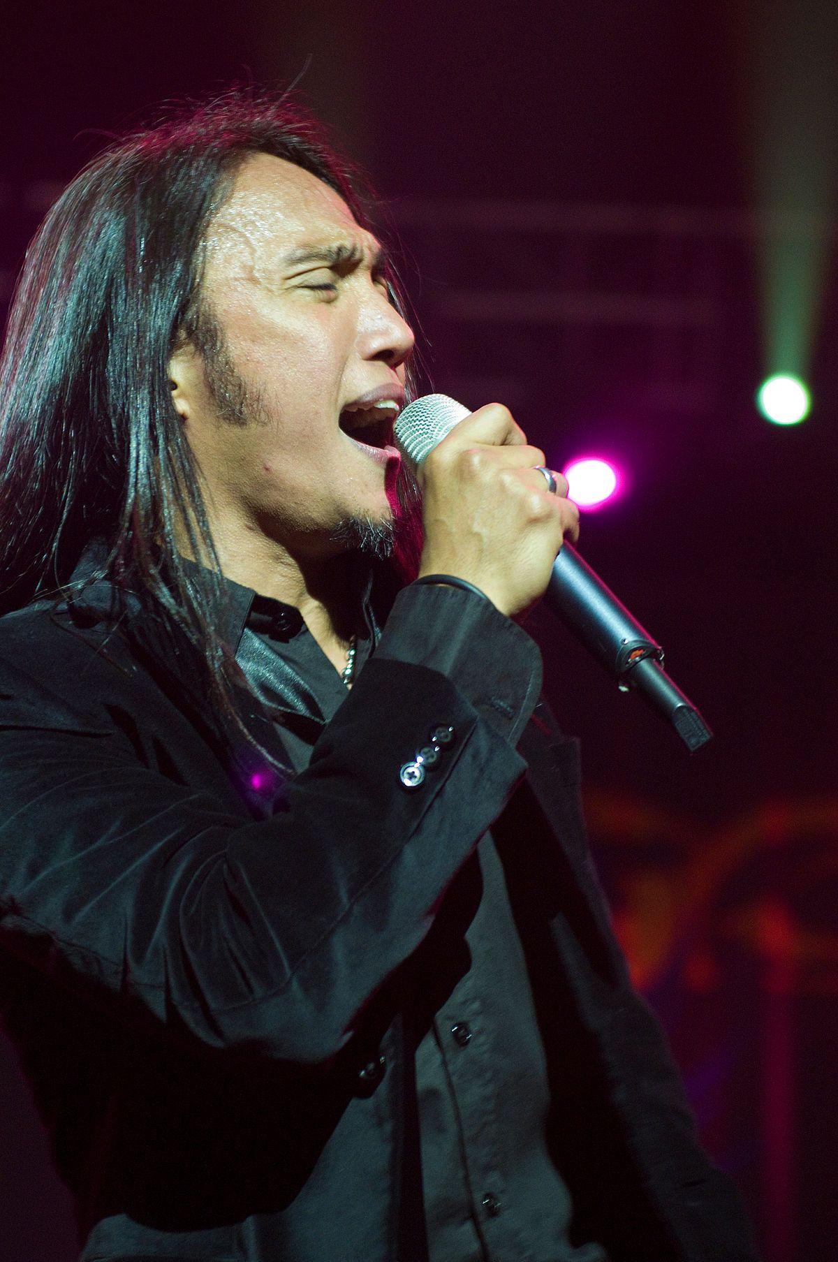 Arnel Pineda Net Worth