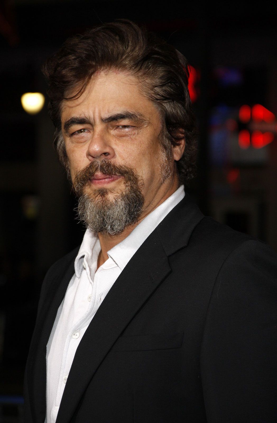 Benicio Del Toro Net Worth