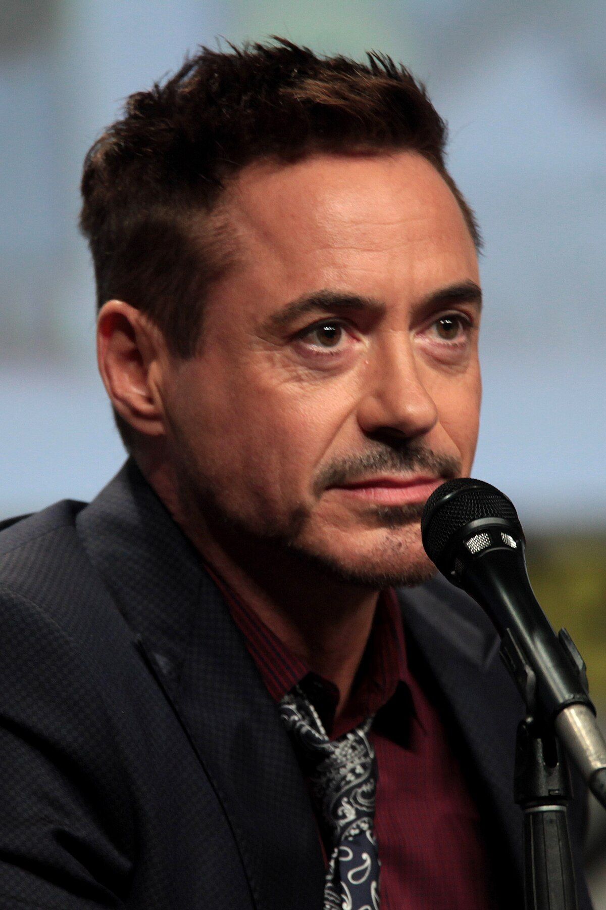 Robert Downey Jr. Net Worth