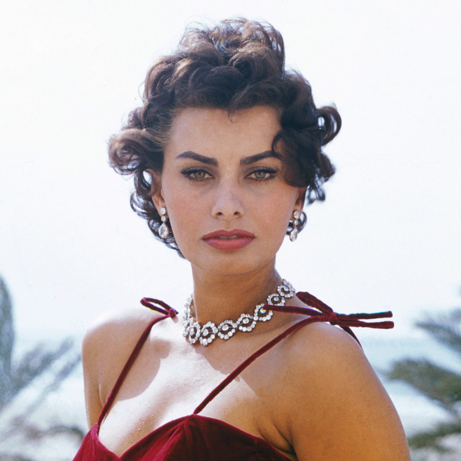 Sophia Loren Net Worth