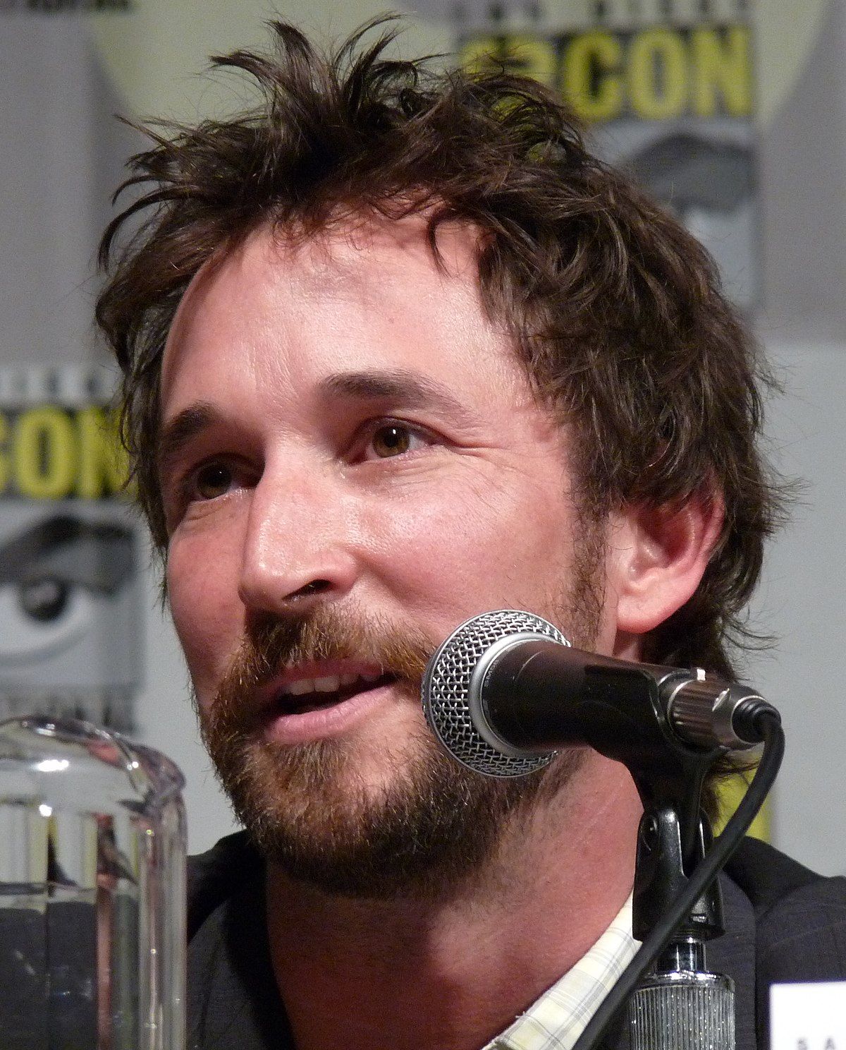 Noah Wyle Net Worth